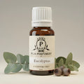 Eucalyptus essential oil bottle with leaves and seeds on a neutral background