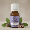 Jojoba essential oil bottle with leaves and nuts on a beige background