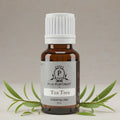 Bottle of Puja Perfumery Tea Tree essential oil with leaves on a neutral background