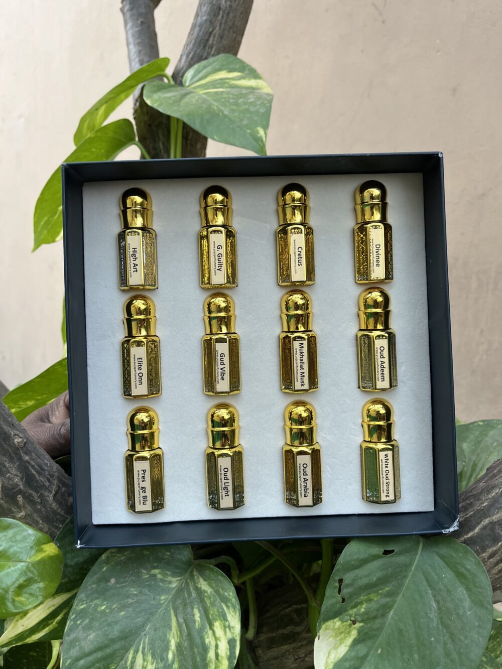 Traditional-Attar-Sample-Kit-1 Set of gold bottles with labels in a black box, surrounded by green leaves.